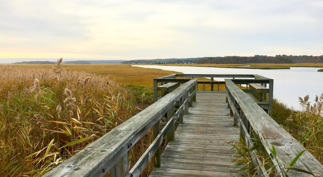 15 Best Things to Do in Scituate (MA)